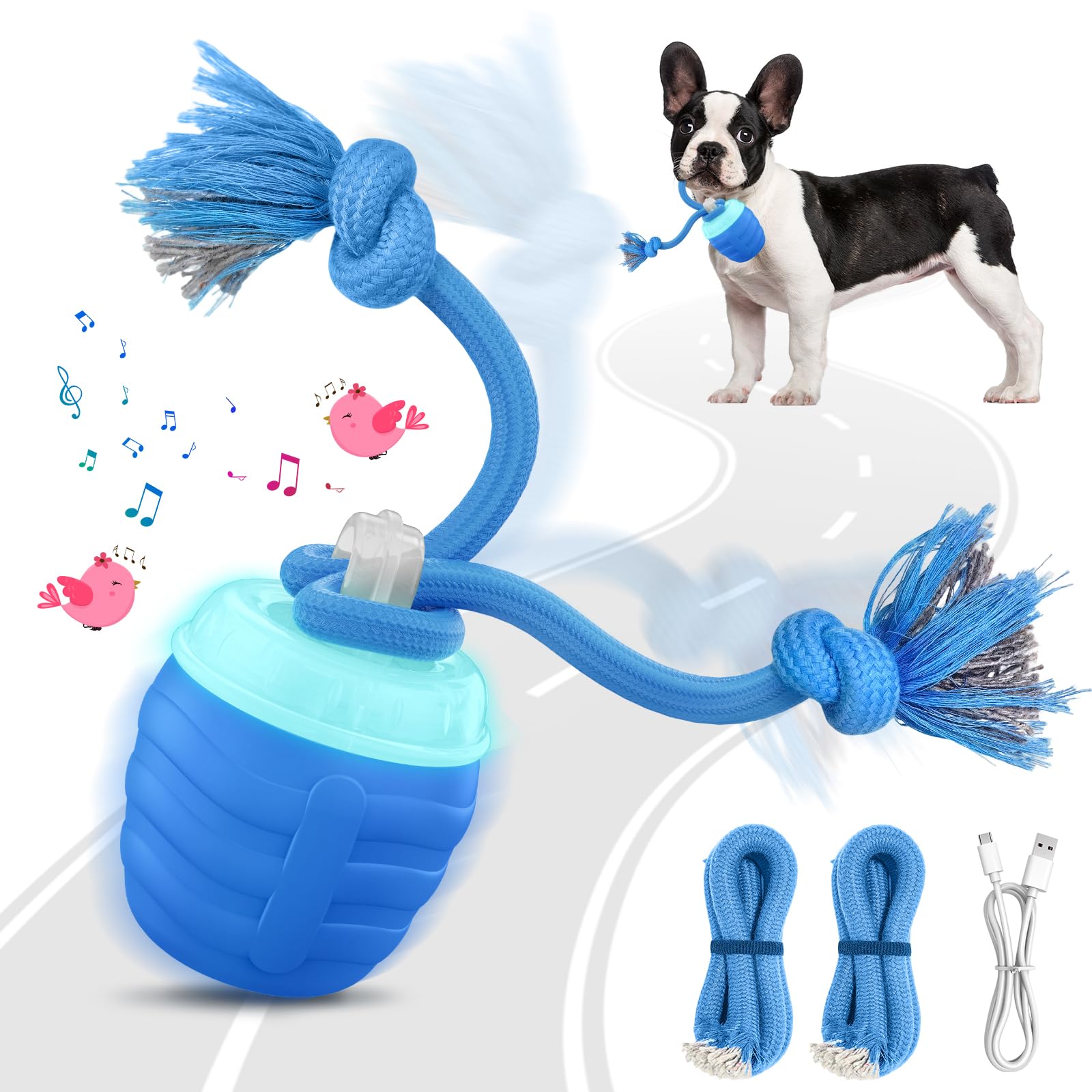 2025 Upgraded Blue Motion Activated Wicked Ball for Medium/Large Dogs