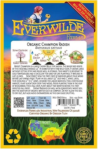 Miniatura 2 de Everwilde Farms - 250 semillas de rábano orgánico Champion - Paquete Gold Vault