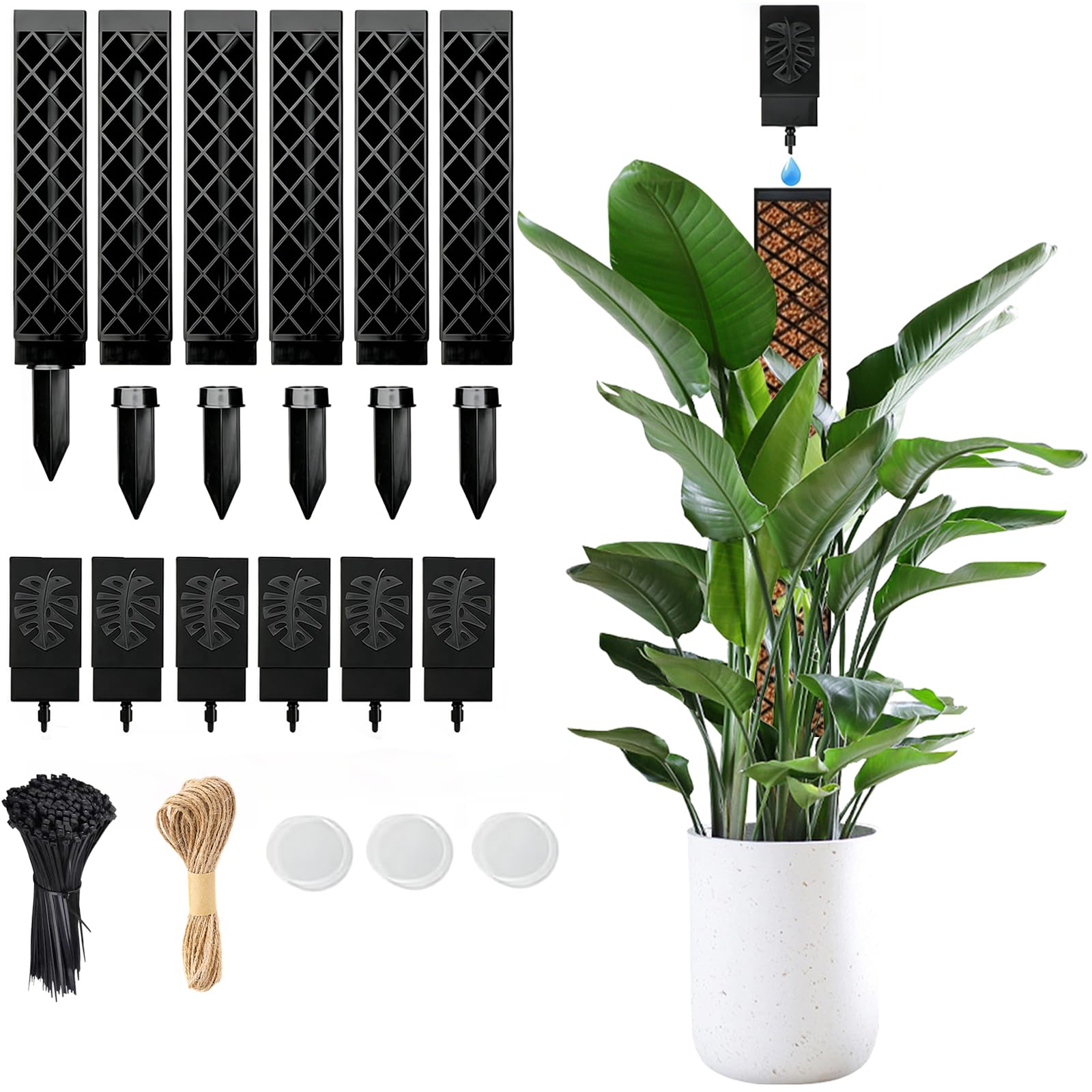 Bâton de mousse auto-arrosage pour Monstera (lot de 6 tuteurs avec serre-câbles)