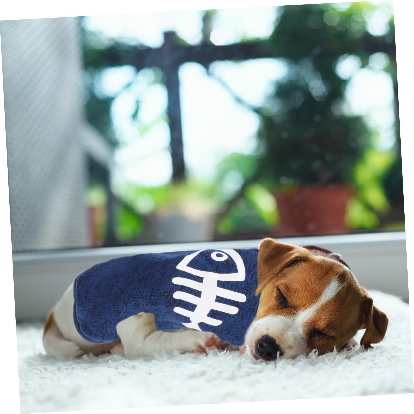 BESPORTBLE 3piezas Suéter para y Gatos XXL Ropa De Invierno Azul para y Cómodo para Paseos y Actividades