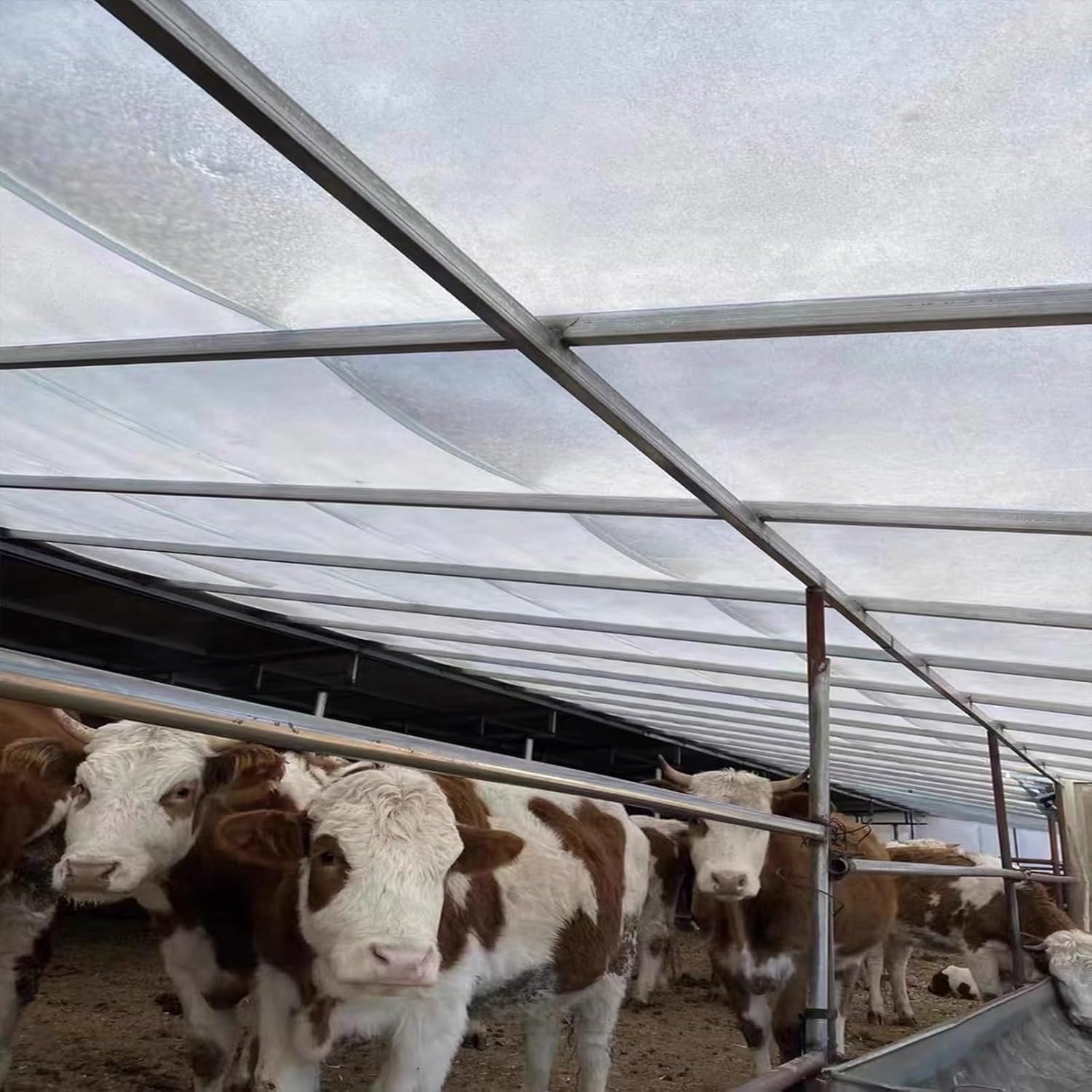 EMYJAY Polycarbonate Roofing Sheet, Polycarbonate Greenhouse Panels Waterproof Greenhouse Roof Cover 0.8mm Glassfiber Panel Easy to Bend & Cut (Color : Clear, Size : 1.2mx10m)