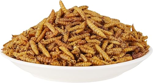 Miniatura 6 de LuckyQworms Larvas de mosca negra seca de 11 libras, 85 veces más calcio que los gusanos de la harina, larvas BSF de alto contenido en proteínas,