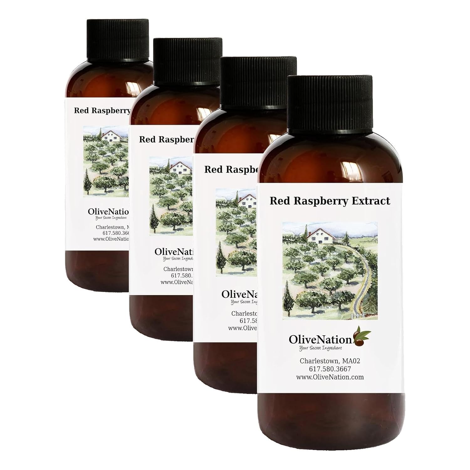 OliveNation Sugar Free Red Raspberry Extract, Premium Quality Flavoring Extract for Baking - 4 ounces - Image 3
