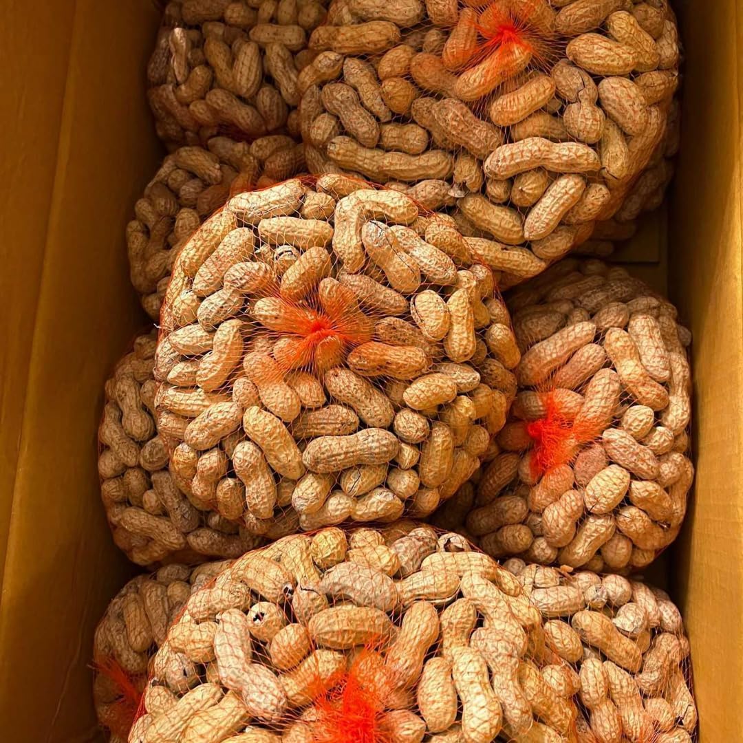 100 Jumbo Peanut Seeds for Planting, 9oz Vegetable Peanuts