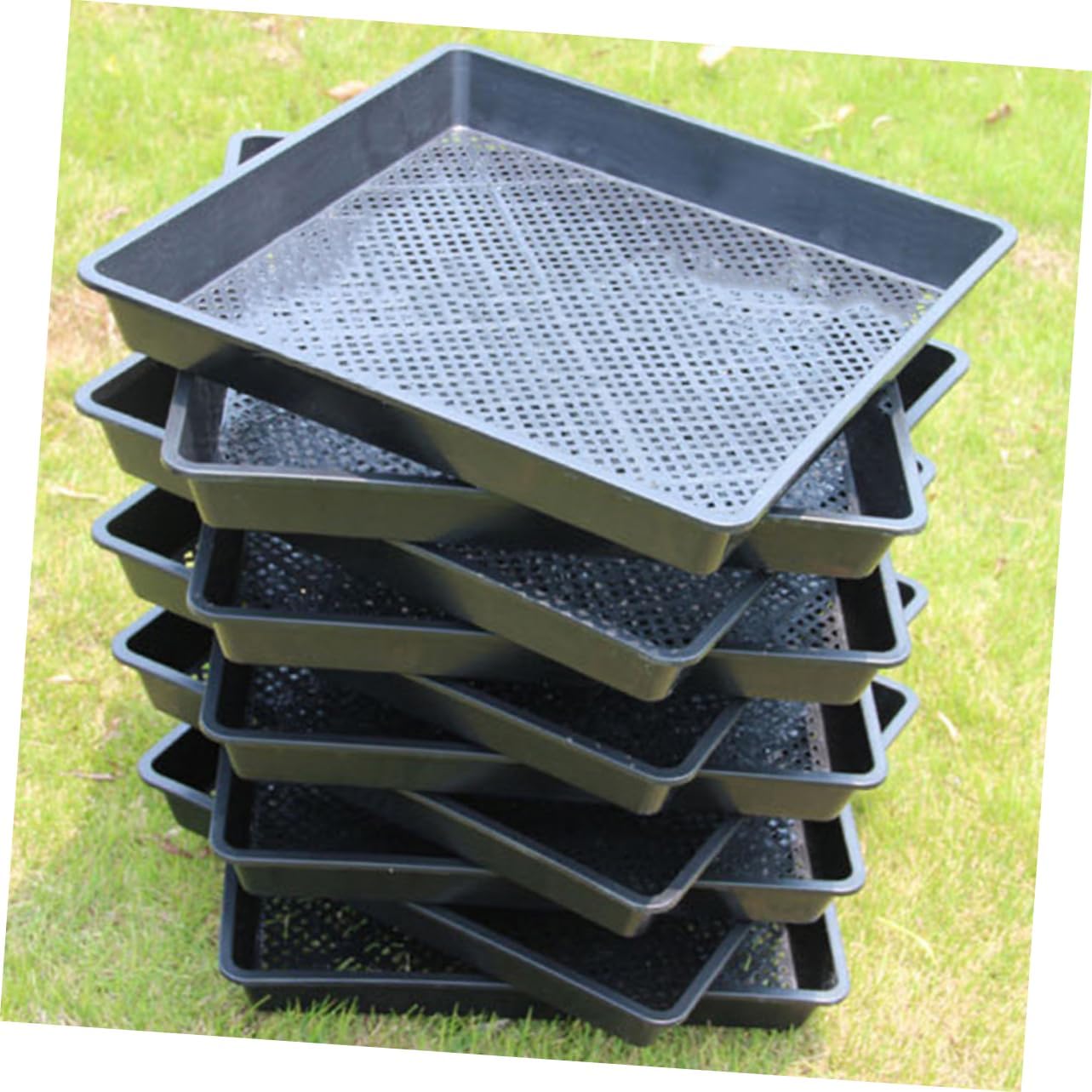 BESPORTBLE 5pcs Plant Germination Trays for Reusable Nursery Sowing Containers for Home Gardening Lightweight and Versatile Growing