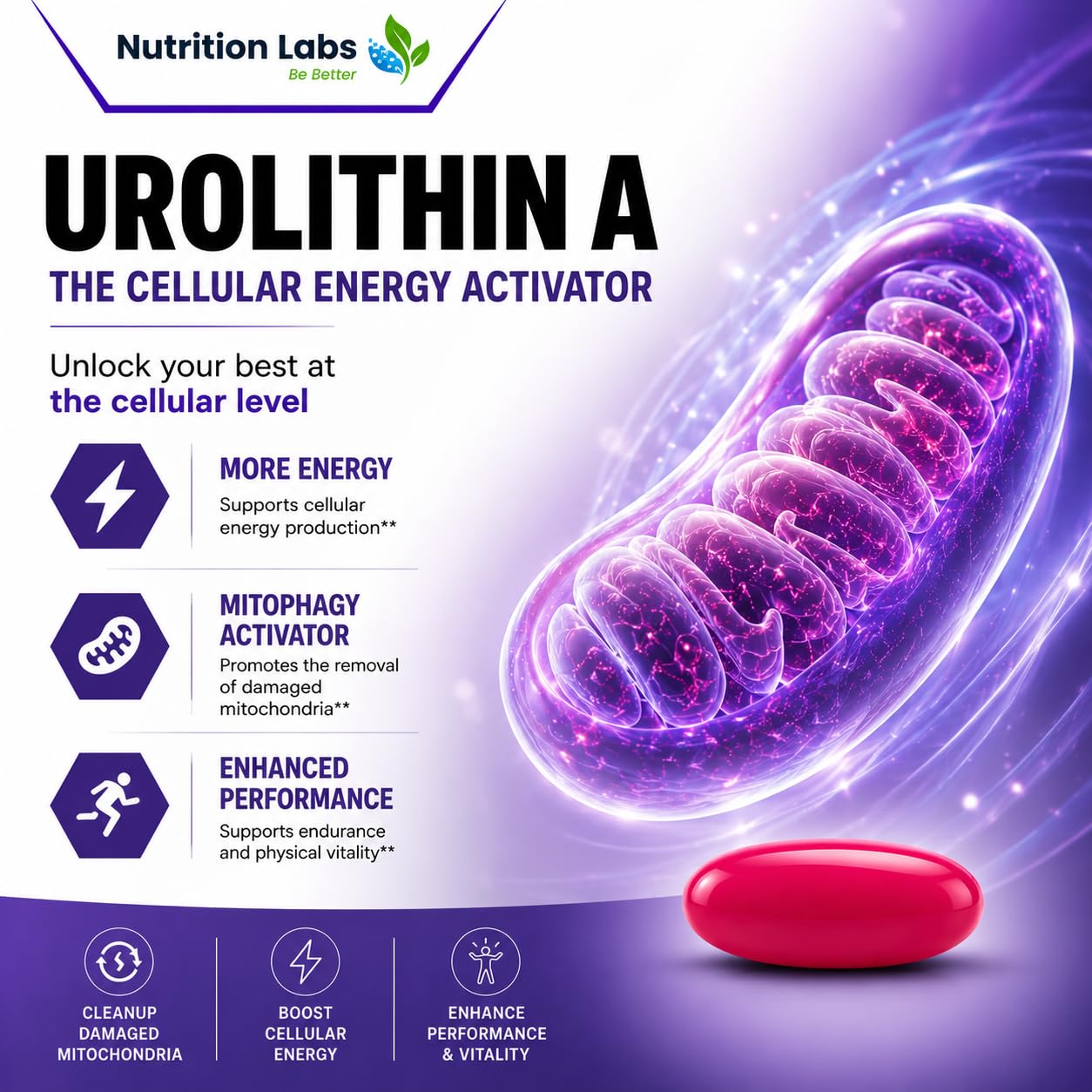 Urolithin A Supplement for Women & Men in Liposomal Form – Mitochondrial Health, Cellular Energy, Healthy Aging, Muscle Strength & Endurance Support – High Bioavailability – Nutrition Labs — Amazon image 5