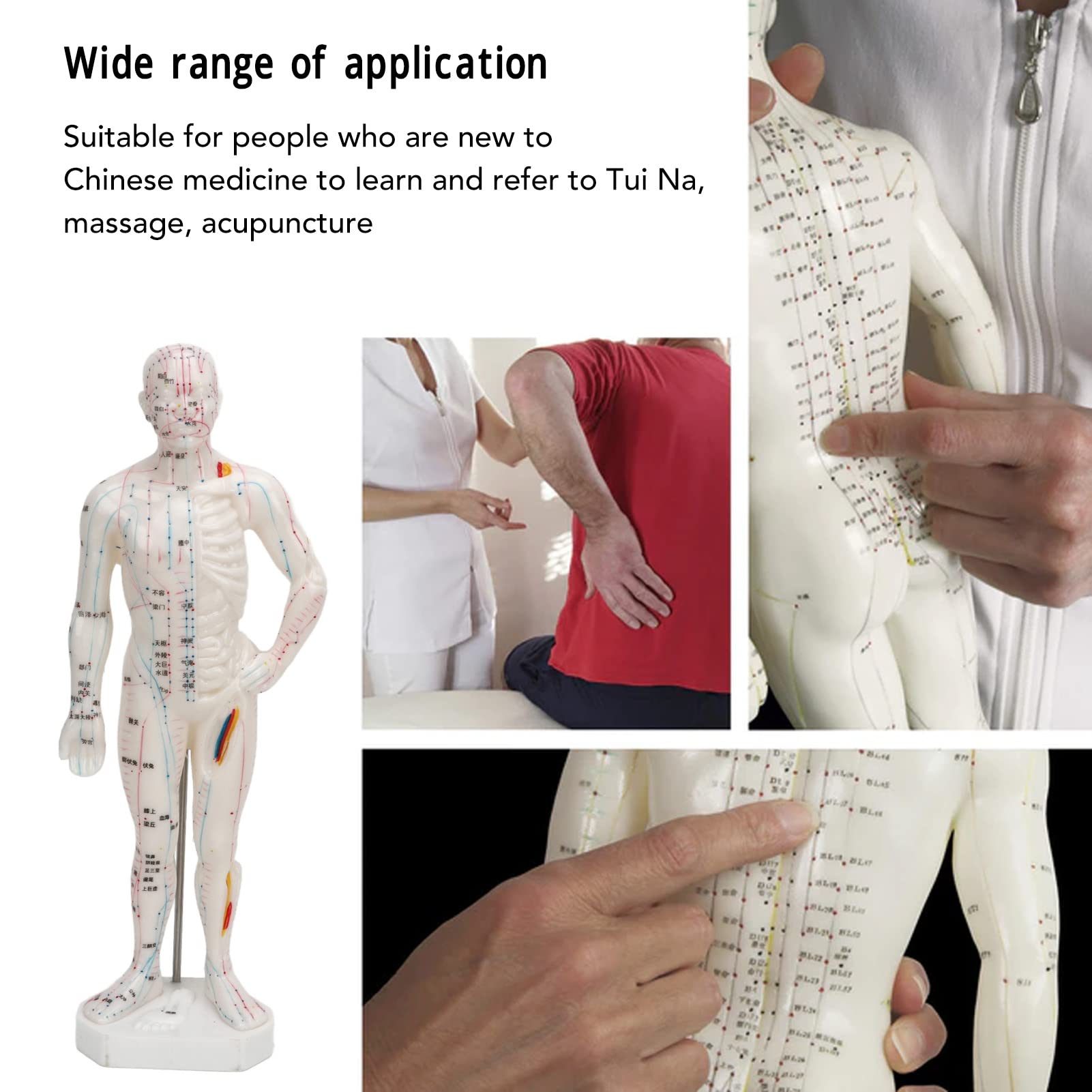 Modello di agopuntura corpo, Modello professionale di punti meridiani per l'insegnamento della medicina cinese, massaggio agopuntura, massaggiatore