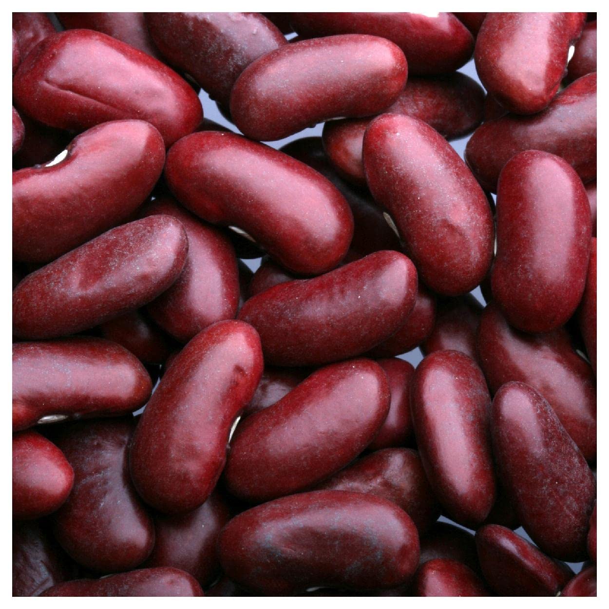 Kidney Bonen