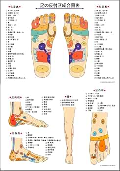 リフレクソロジー ポスター 足 手 耳 リフレクソロジー ポスター 足 手 耳