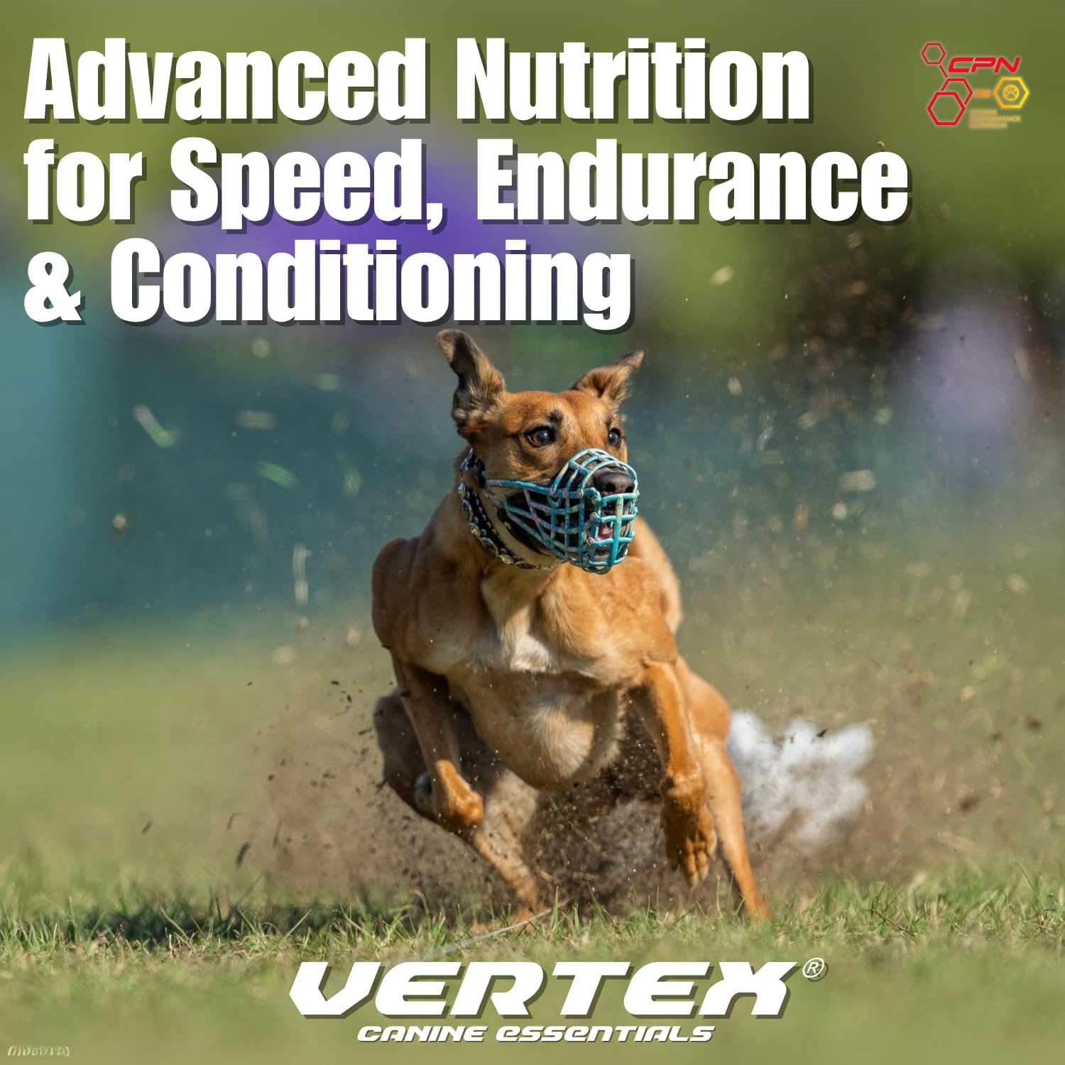 Vertex High-Performance Dog Supplement – Predigested Liver, Whey & Egg Protein – Supports Muscle, Recovery, Fertility, Digestion & Milk Production – Ideal for Working, Breeding & Active Dogs - 2 LBS
