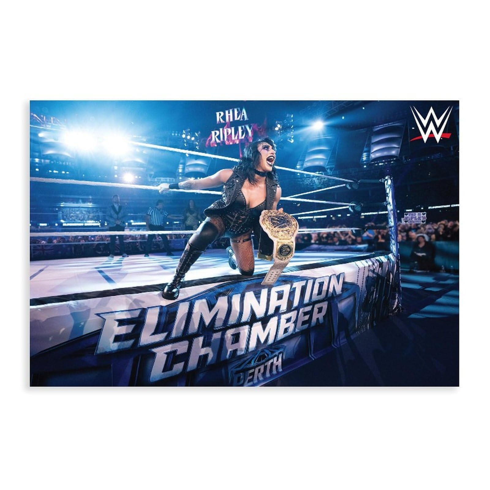 Hgklbg Unframe-Style Wrestler Rhea Ripley Poster Canvas Poster For Home Decor Gift