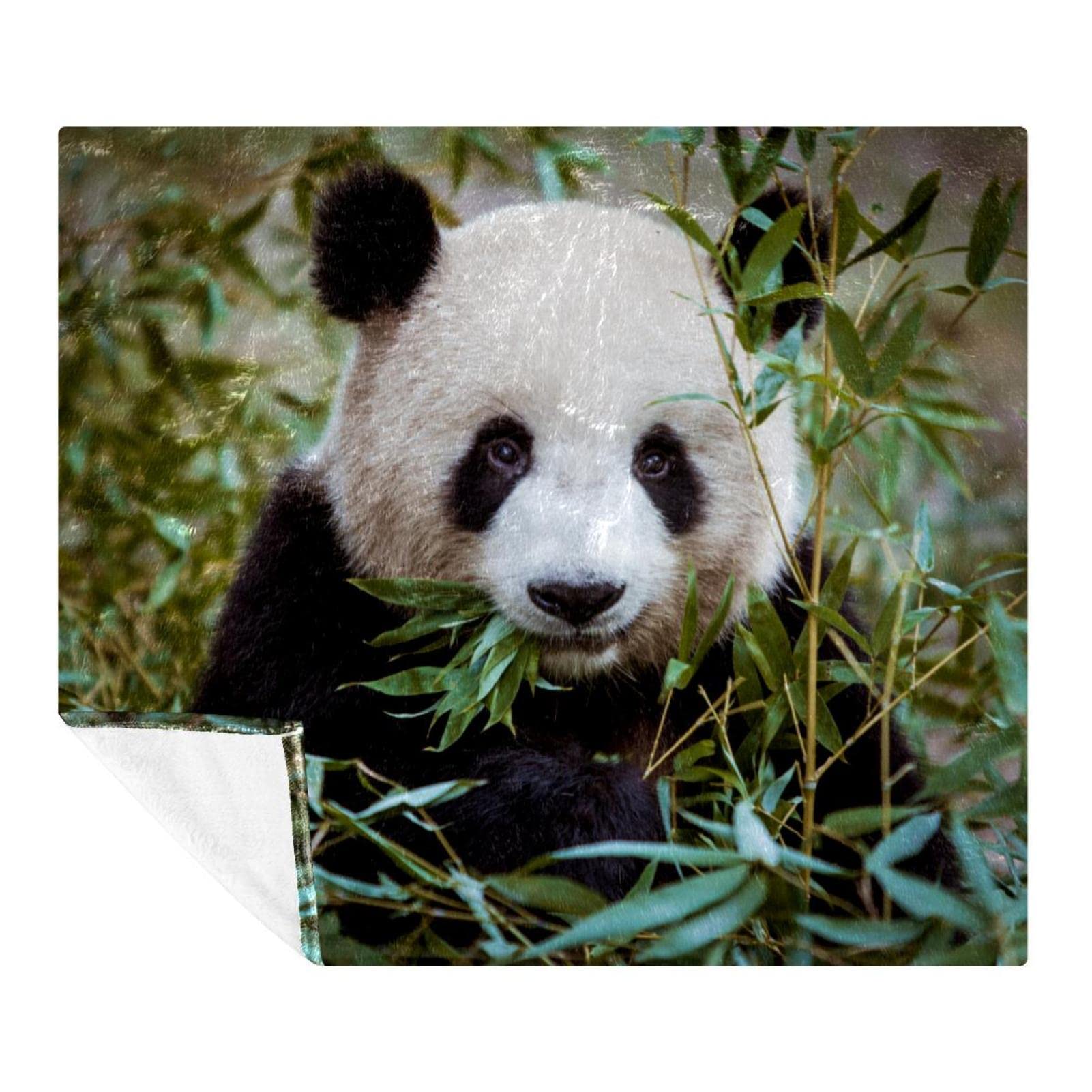 Couverture douce panda en microfibre, véritable câlin pour enfants