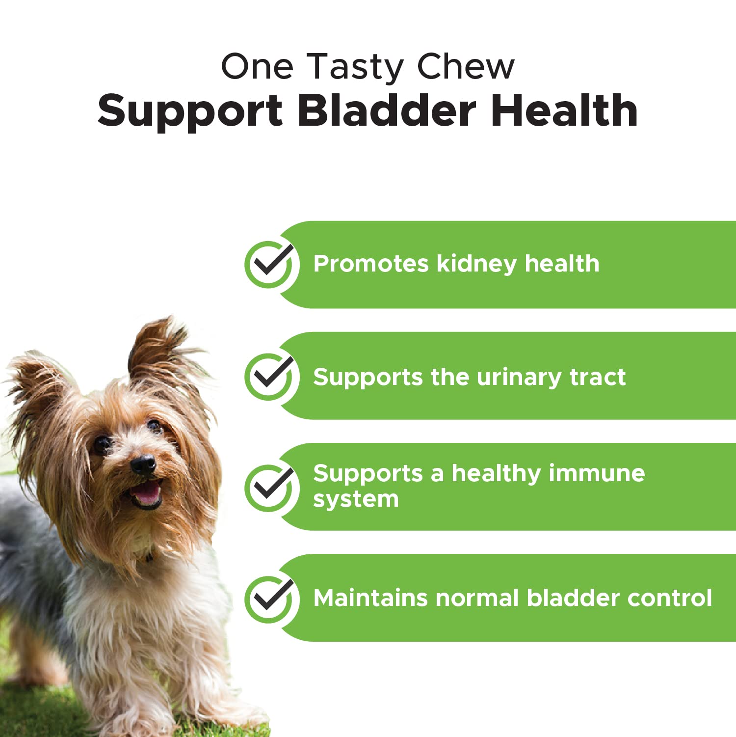 Can You Get A Uti From Your Dog