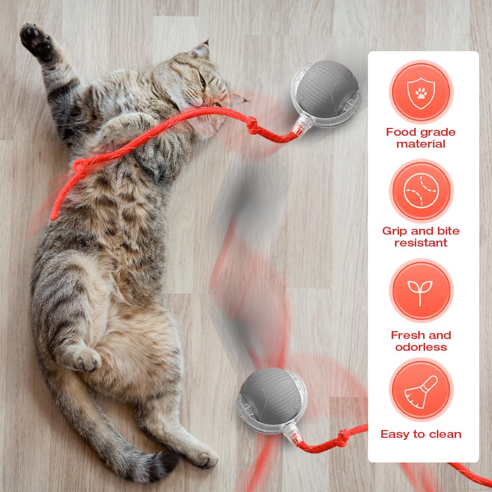 XPJBKC 2 Pcs Interactive Dog Ball, Interactive Cat Toy, Cat Toys Interactive for Indoor Cats Automatic Cat Ball Toy - Image 3