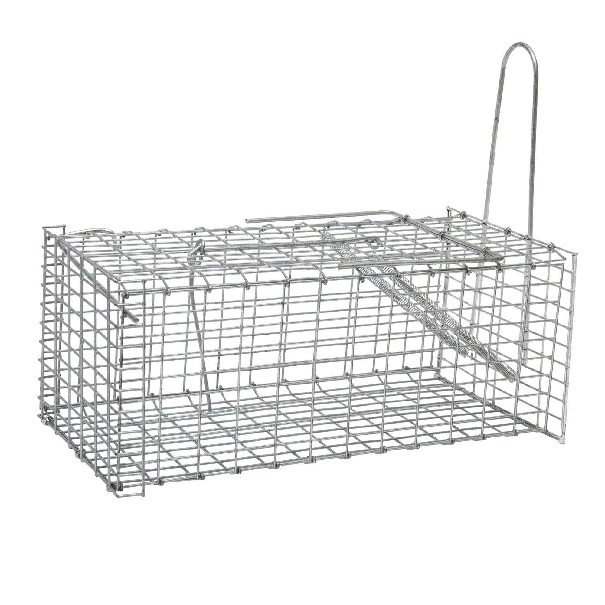 Werka Pro Control Of Roedores Werkapro Mouse Or Rat Tray