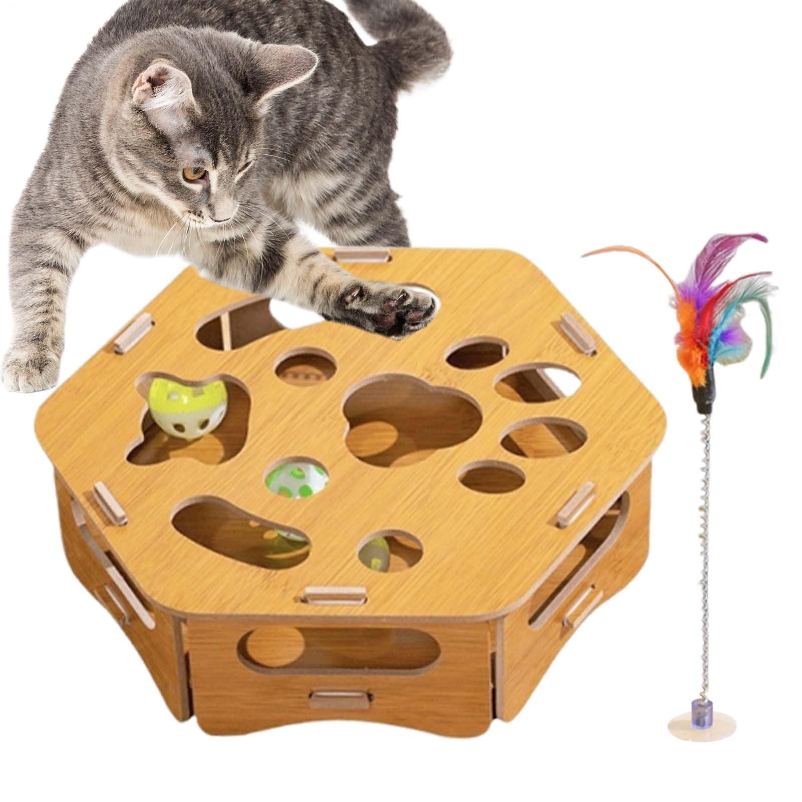Cuidado de garras para gatos en apartamentos y salas