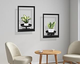 Picture Frame Plant Holder, Wall Mount Plants shelf Indoor Outdoor, Meta...