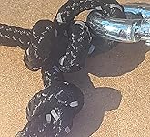 Review Image by GulfCoastMS