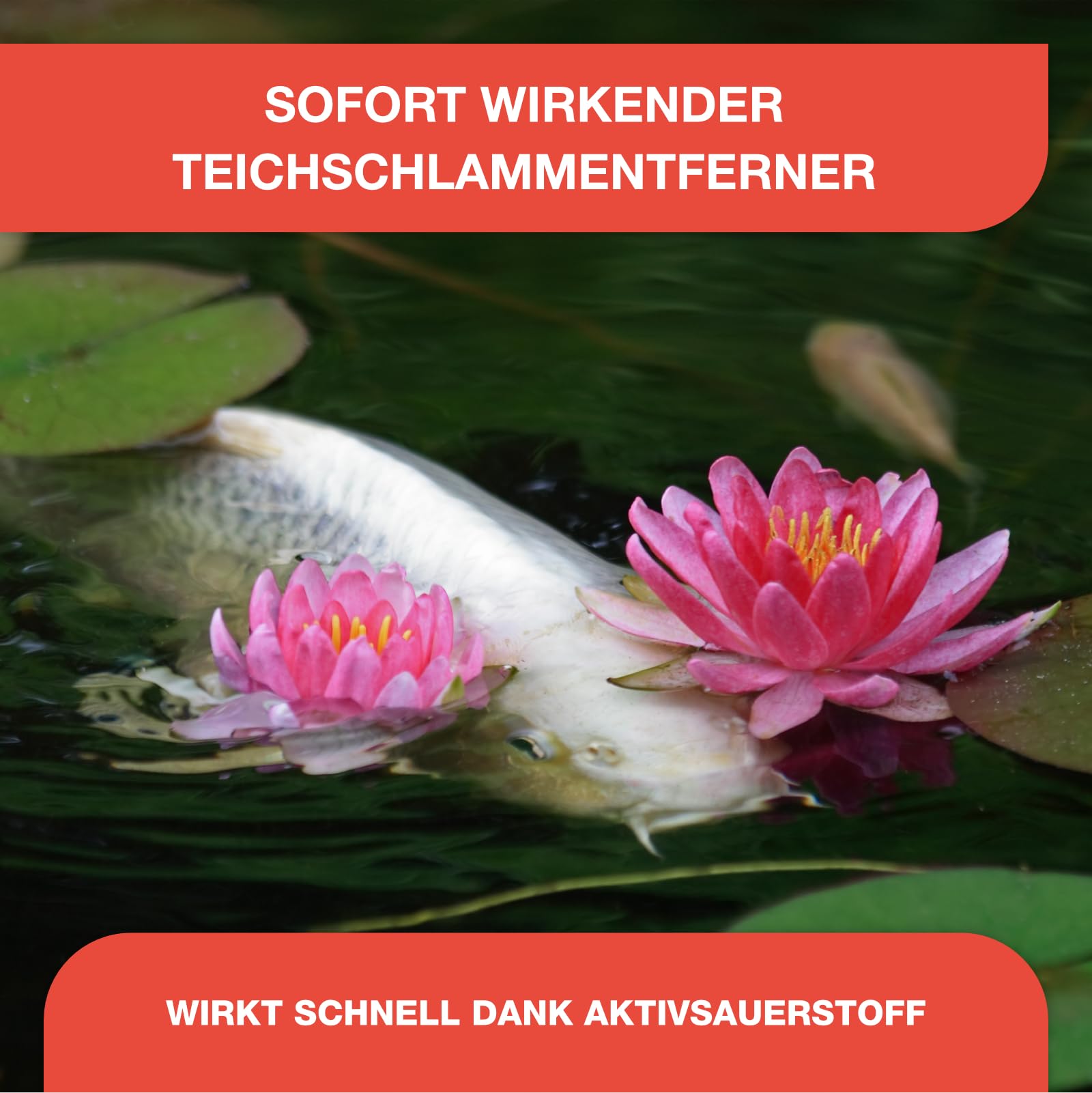 Teichpoint Oxy-Stopp Schlammentferner 1kg | Aktivsauerstoff gegen Teichschlamm, Laub und Ablagerungen | Für Koi- und Gartenteiche | Reichweite bis 30.000 Liter - 3