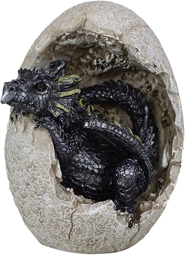 Ebros Gift Fossil Raeon - Figura decorativa de dragón con luz del sol, diseño de cría de dragón que rompe de cáscara de huevo, 5 pulgadas de alto,