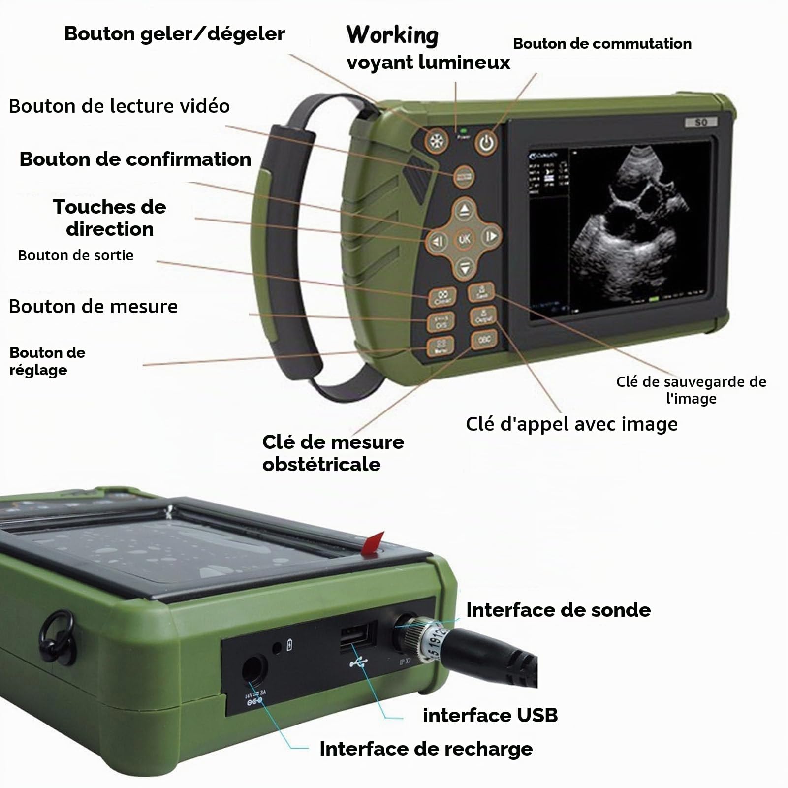 Appareil échographie Vétérinaire Portable Testeur De Grossesse À Ultrasons Multifonctionnel,avec Sonde 3,5 MHz,écran Couleur 5,6 Pouces,pour Porcs Et Moutons Et pour Test De Gestation