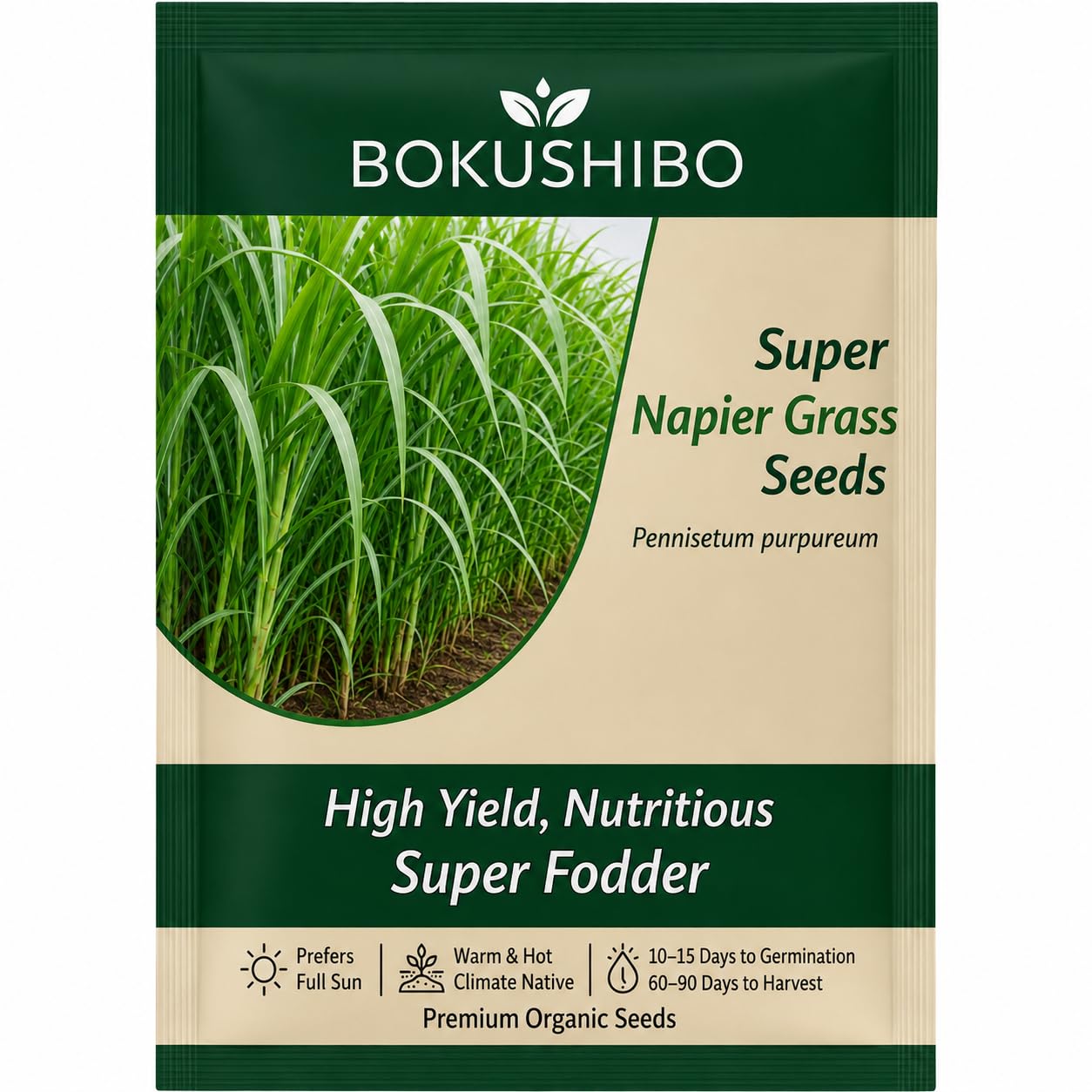 Super Napier Grass Seeds for Cattle | High Protein Hybrid Multi-Cut Green Fodder Seed for Cows, Goats & Sheep | Fast-Growing Hybrid Pakchong 1 Elephant Grass Seeds for Dairy Farms (1000 mg)-image-11