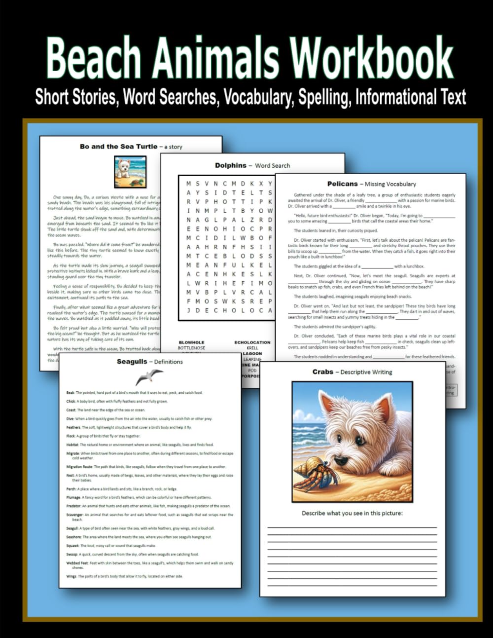 Beach Animals Workbook - Short Stories, Word Searches, Vocabulary, Spelling, Informational Text