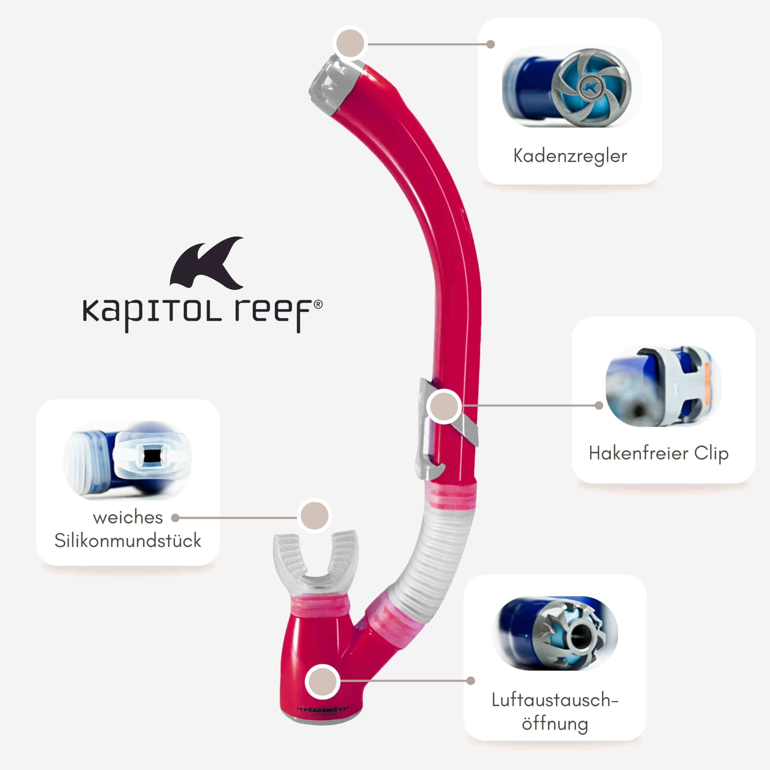 Kapitol Reef 09001 - Boccaglio