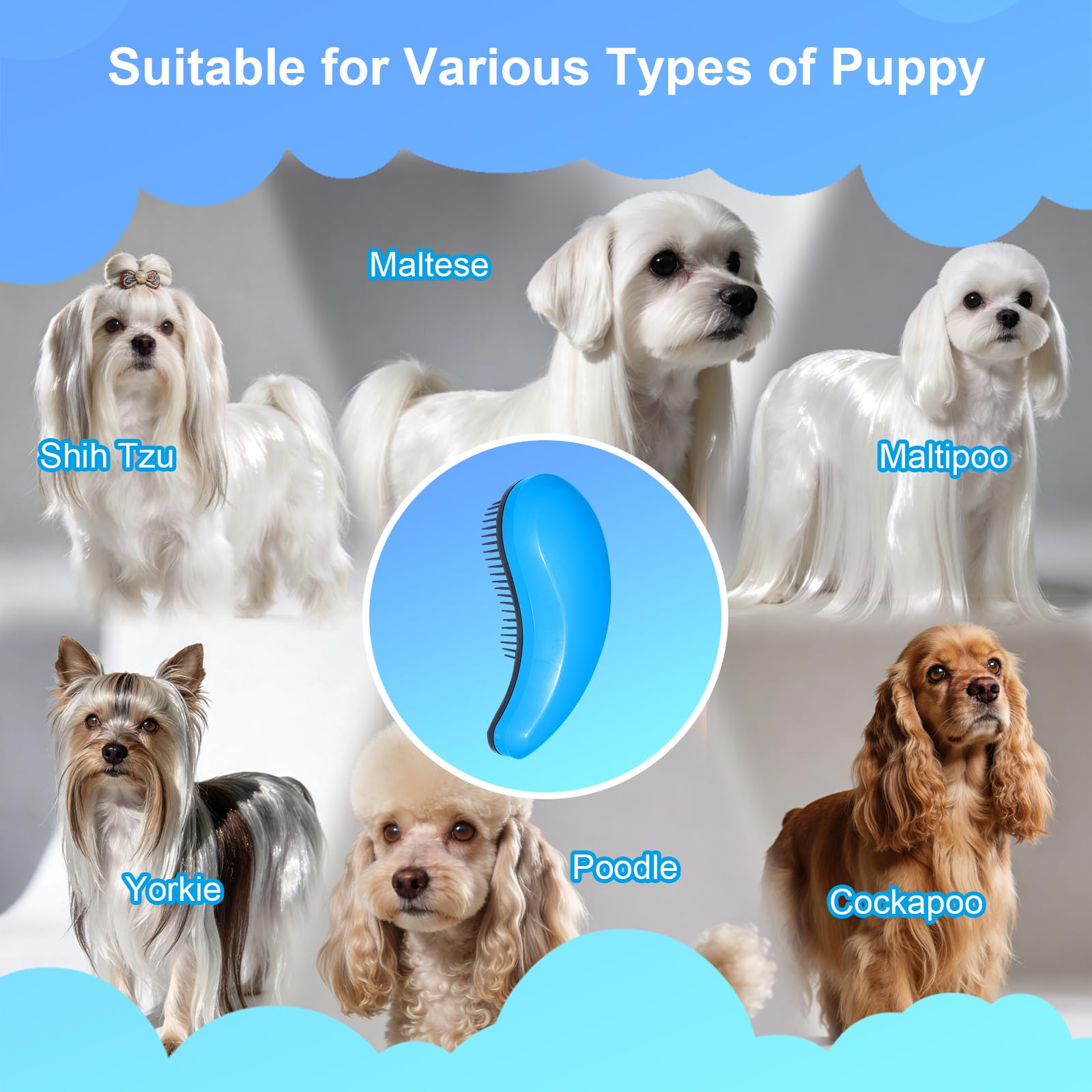 Small Dog Brush- Grooming Tool for Teddy, Yorkies, Maltese, Shih Tzu, Chihuahua - Puppy Hair Brush (Blue) - image 6