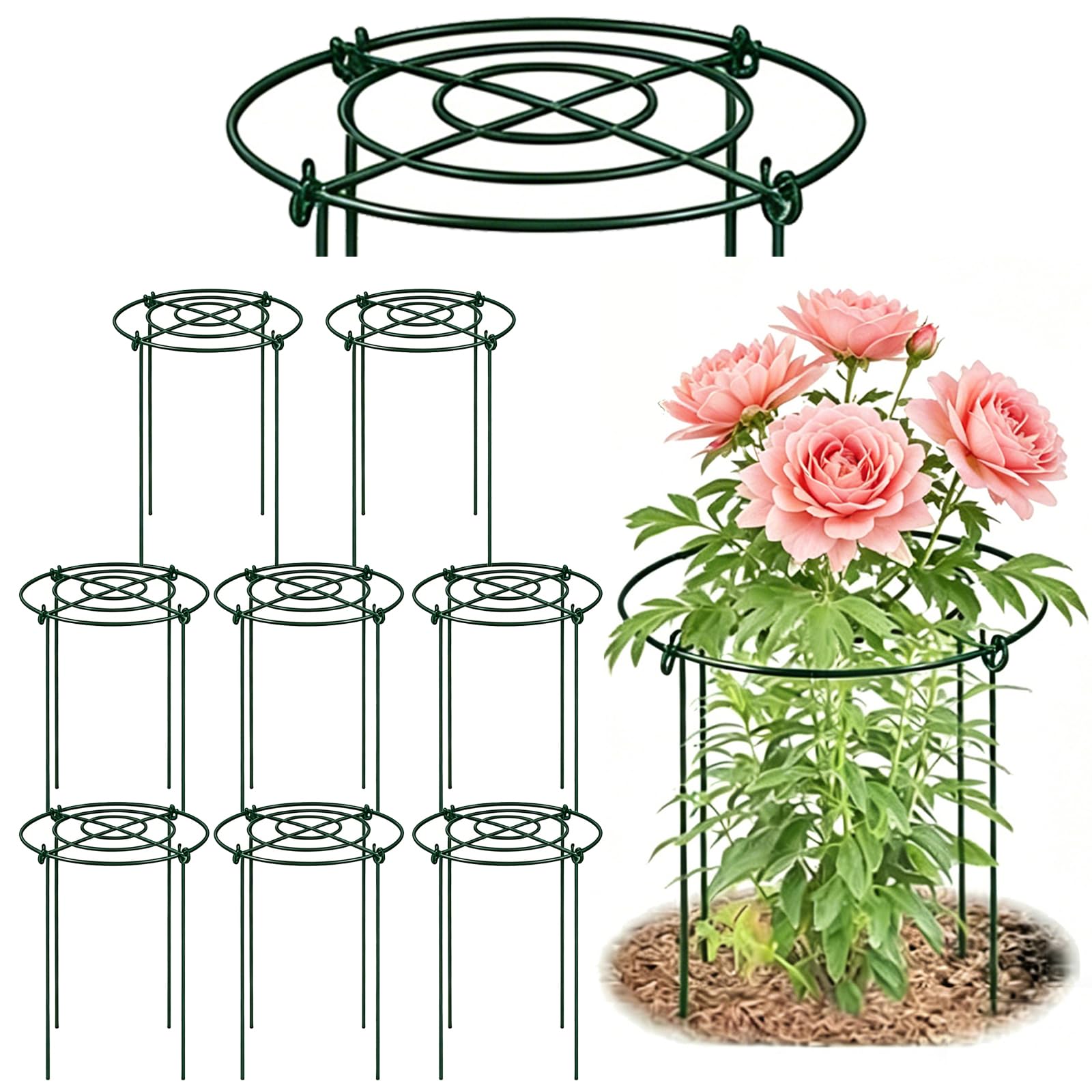 Tuteur pour pivoines et hortensias lot de 8 cages rigides pour redresser les plantes lourdes