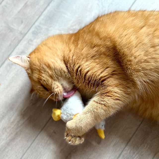 Foto 6 de 8 de Aumüller Juguete para gatos con valeriana - Gilbert Gans