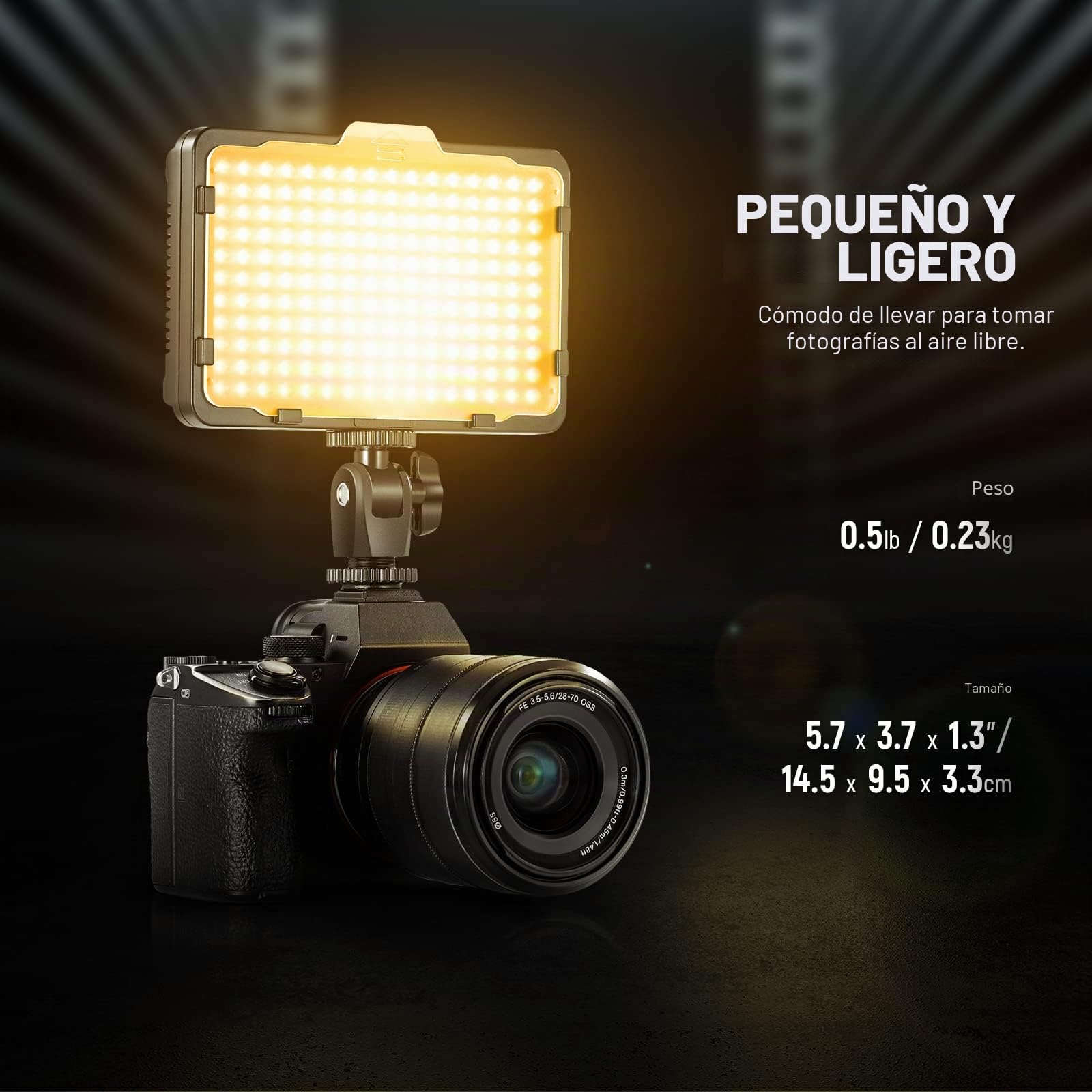 Neewer 176 LED Luz de Video Iluminación Kit: 176 Panel LED Regulable, con Batería de Li-Ion 2200mAh, Cargador de Batería USB y Estuche para Fotografía de Producto y Retrato