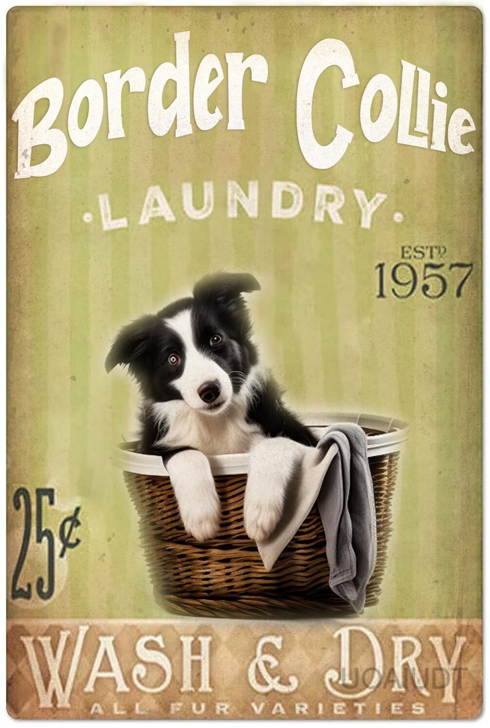 Anceky Border Collie Signs Laundry Room Retro Metal Tin Sign Dog Poster Laundry Sign Vintage Metal Plaque Wall Decor For Bathroom Restaurant Farm Bedroom Cafe School 8x12 Inch