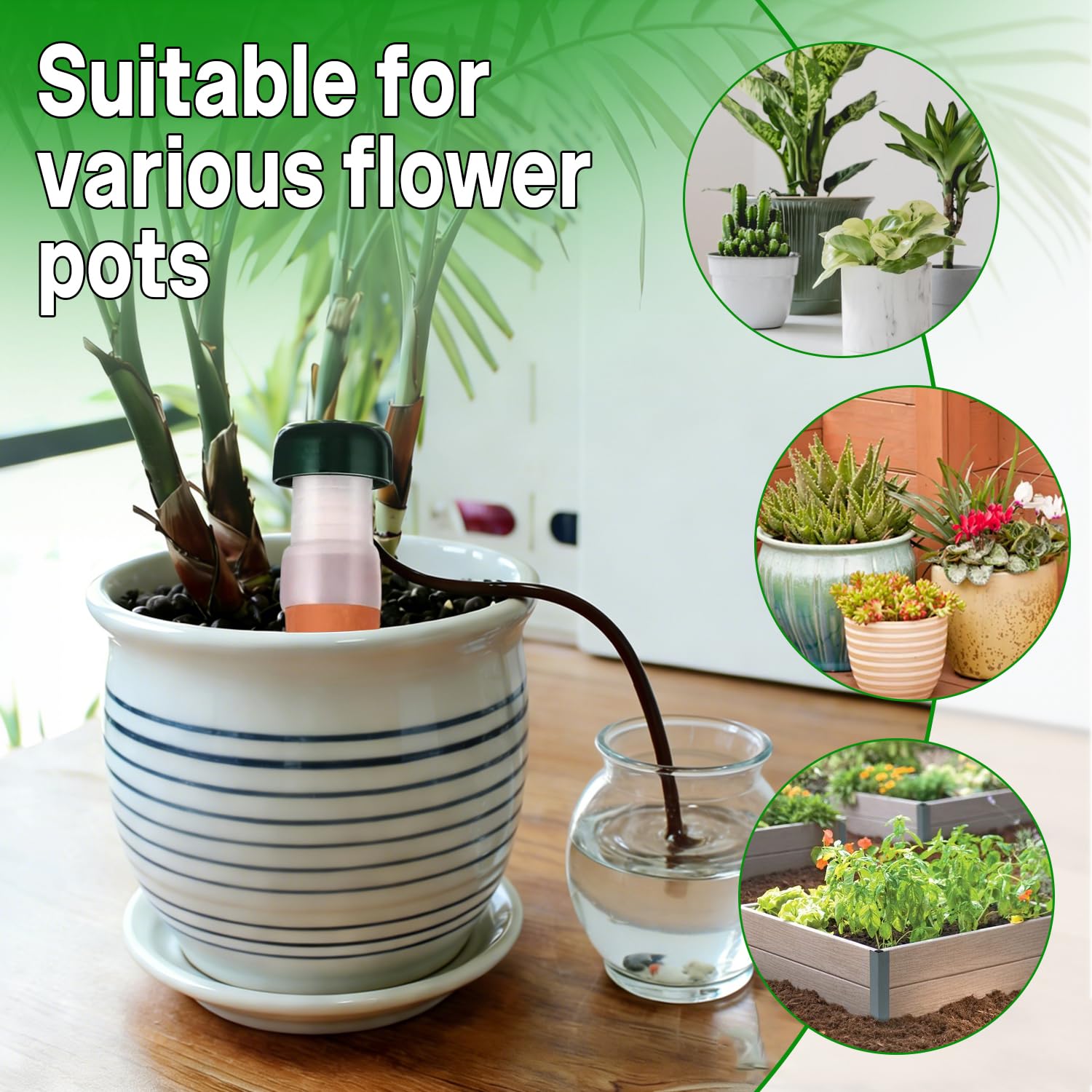 Distributeurs d'eau pour Plantes, 6 Pièces Distributeur d'eau pour Plantes D'intérieur, Arroseur Automatique Plante, Distributeur d'eau Automatique pour Jardin, Plantes Et Fleurs