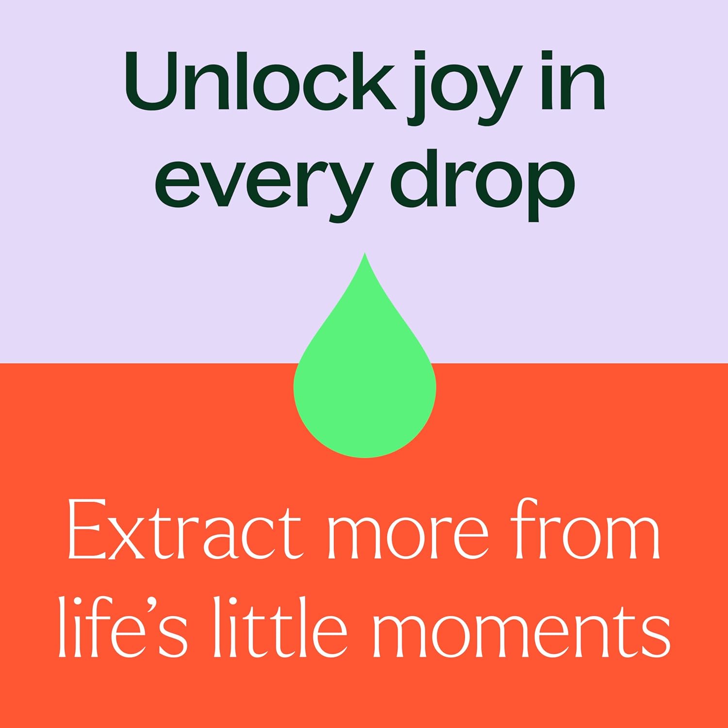 Plant Therapy Organic Blue Tansy Essential Oil 5mL (1/6 oz), 100% Pure, Undiluted, Natural Aromatherapy, Soothing for Sensitive Skin