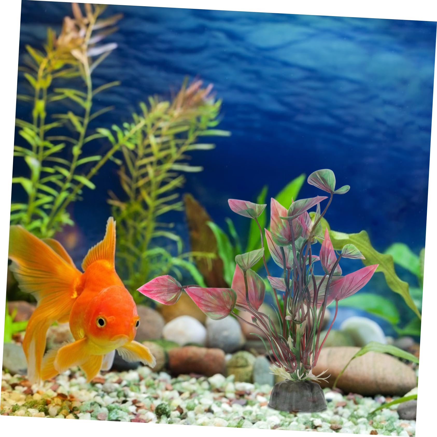 Sosoport 30stücke Künstliche Wasserpflanzen Für Aquarien Lebensechte Dekoration Für Fischbecken Und Teiche Nicht Verblassend Und Weiche Materialien Sichere Umgebung Für Fische