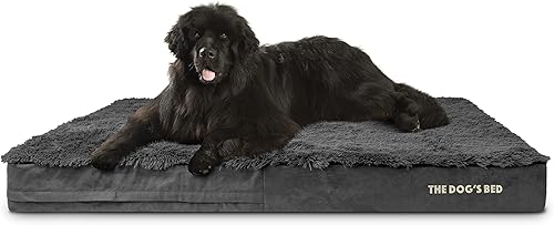 Miniatura 98 de The Dog's Bed - Cama ortopédica de espuma viscoelástica para perro, grande gris y negro, impermeable, cama de apoyo con fundas reemplazables, negro