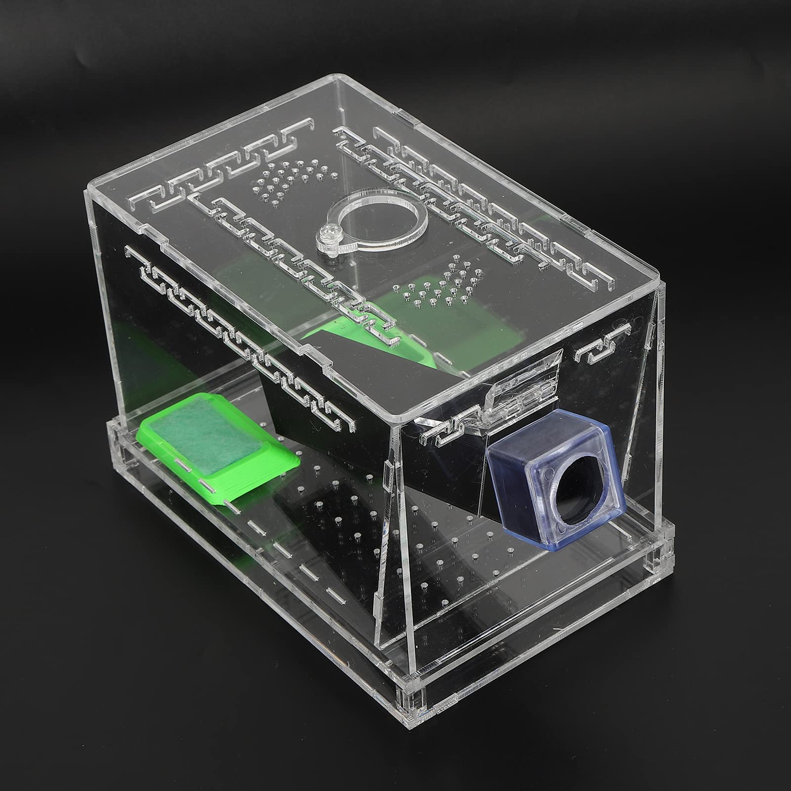 Tiiyee Acrylic Feeding Cricket Keeper - Image 2