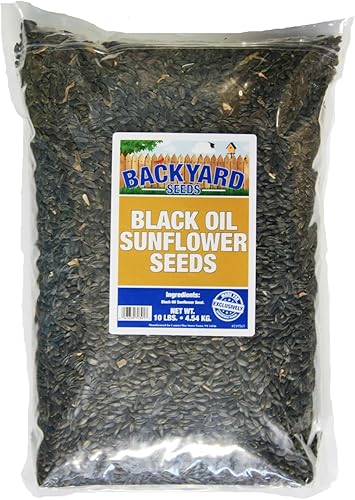 CountryMax Backyard Seeds Aceite de girasol negro (10 libras)