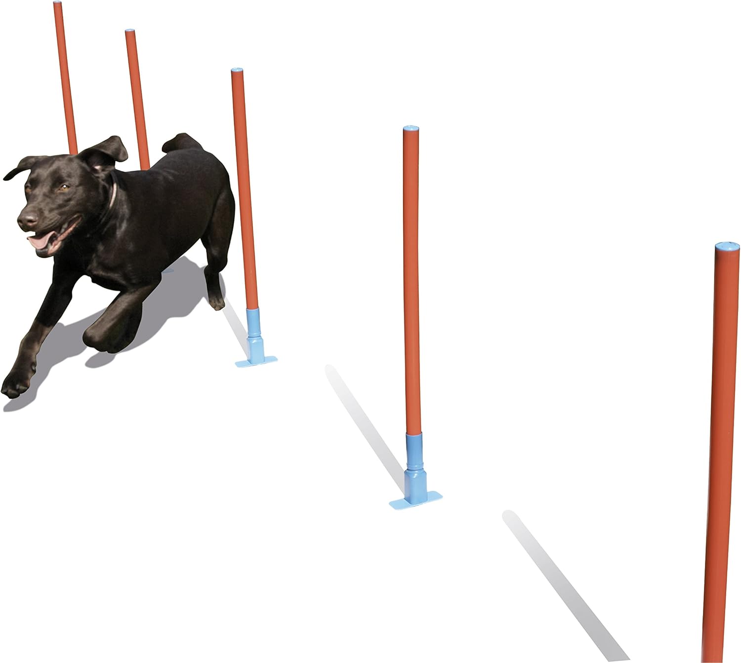 Rosewood Dog Agility Slalom Includes Bag