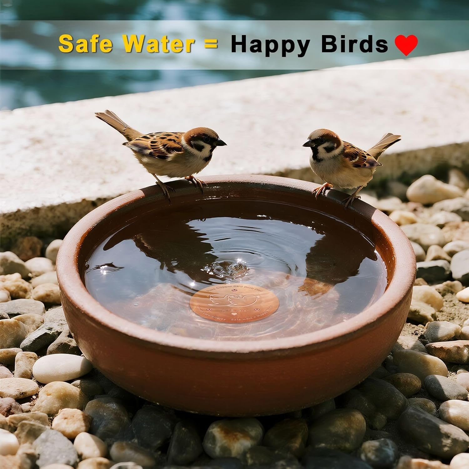 Pure Copper Bird Bath Disk, 99.9% Copper Content, Water Purifying Plate with Nano Oxide Layer (3 Pieces)