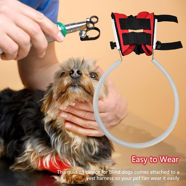 Foto 7 de 7 de Firulab Halo de Perro Ciego - Dispositivo de guía para Gatos Ciegos con Doble Hebilla,Suministros…