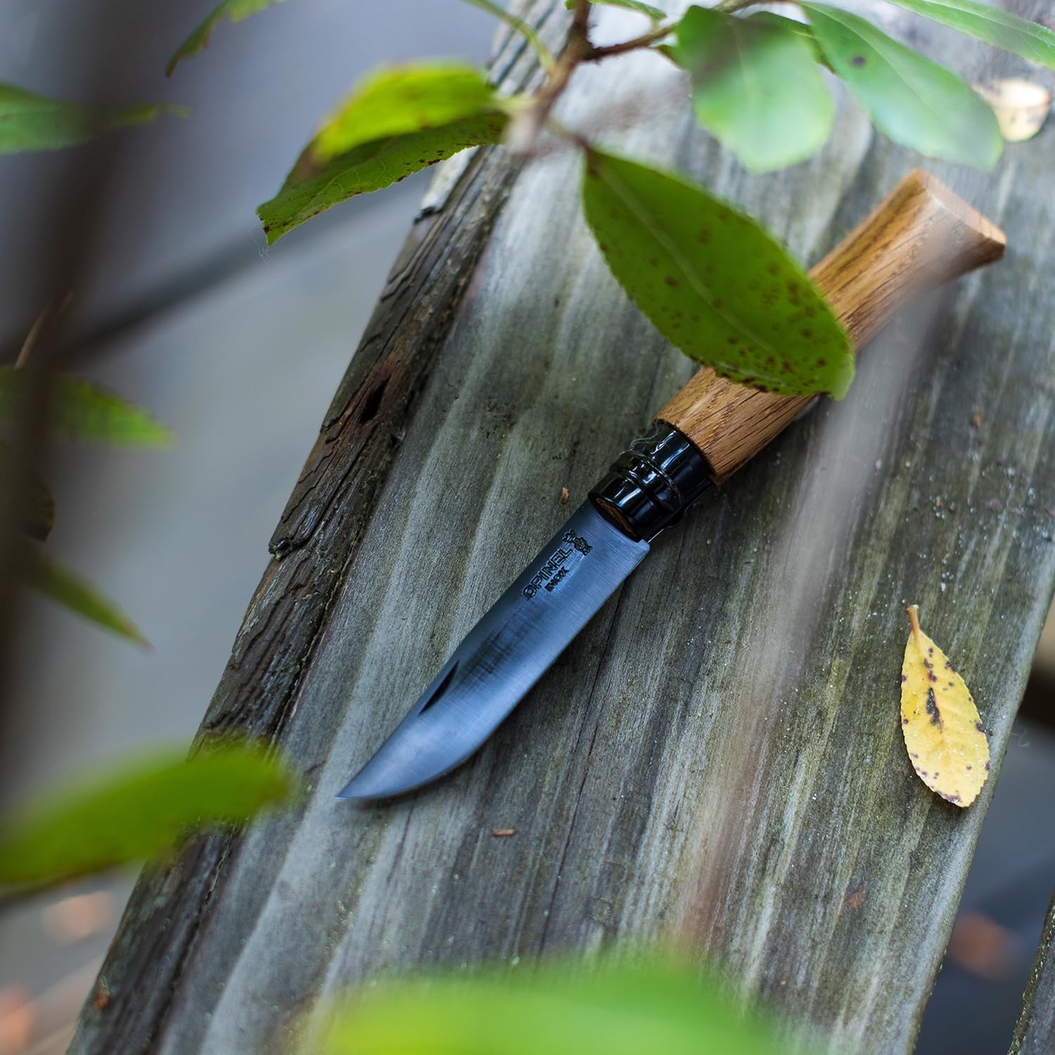 OPINEL No.06-No.09 Premium Woods, Stainless Steel Folding Pocket Knife, Made in France (Black Oak)