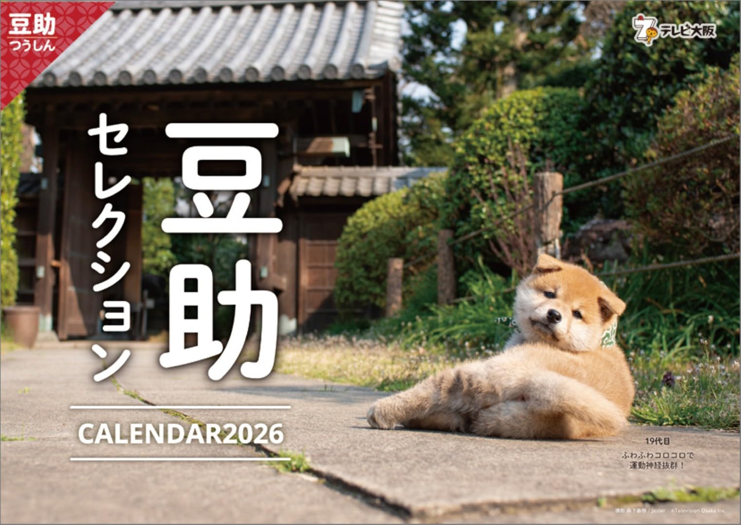 Amazon | ハゴロモ 歴代豆助セレクション 2026年 壁掛けカレンダー