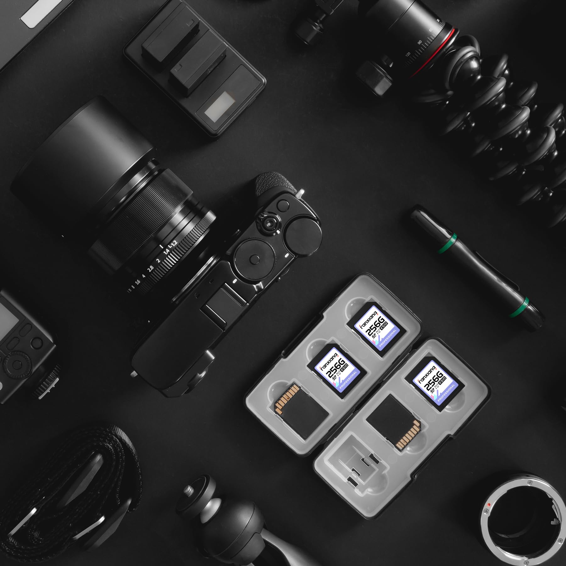 fanxiang Carte SD 256 Go Jusqu'à 100 Mo/s - Carte mémoire SDXC UHS-I V30, U3, Classe 10 pour Appareil Photo Vidéos 4K UHD
