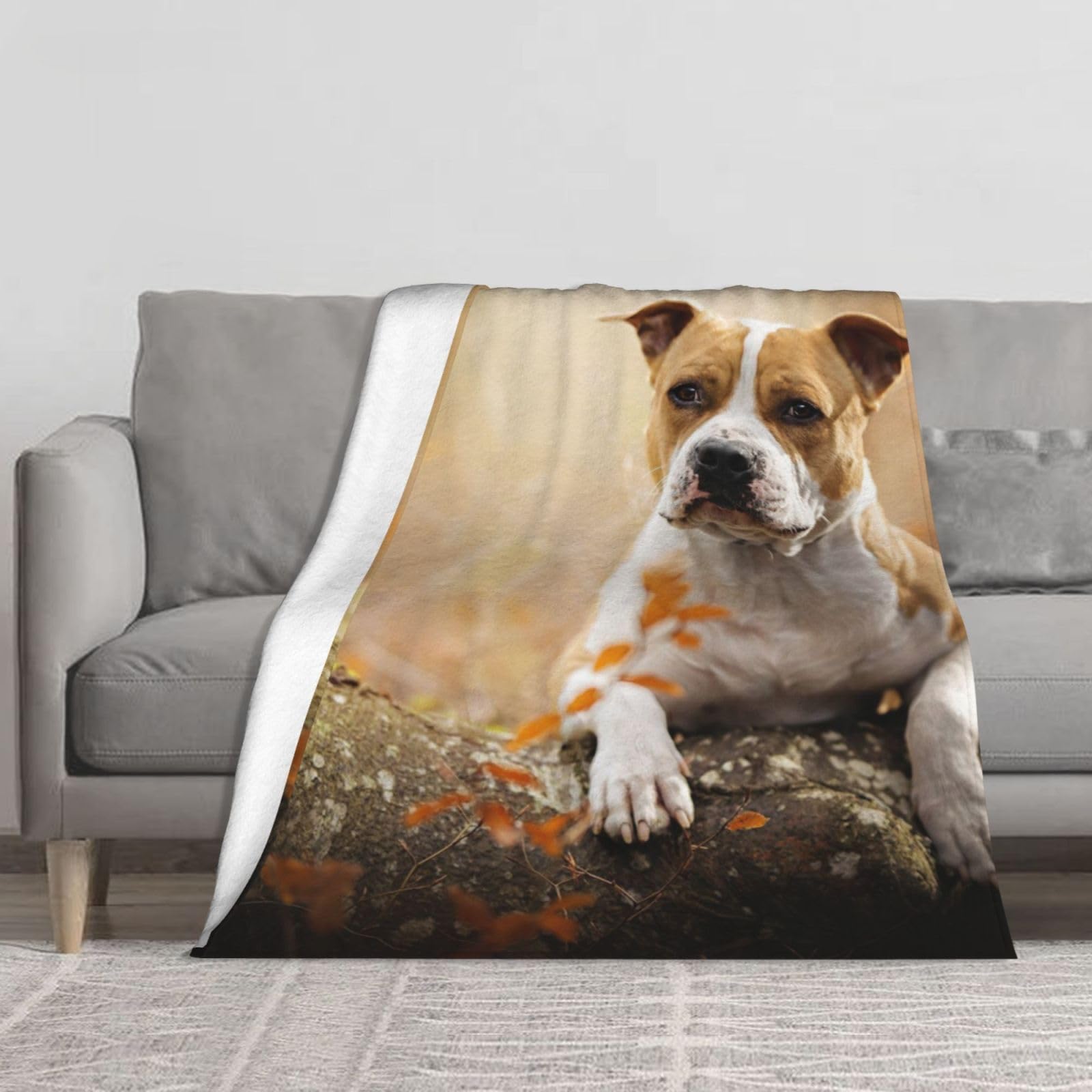 BYwenhopnbs American Staffordshire Terrier Printing,Super Soft Thick Comfy Cozy Throw Flannel Blanket Couch 60"x50"