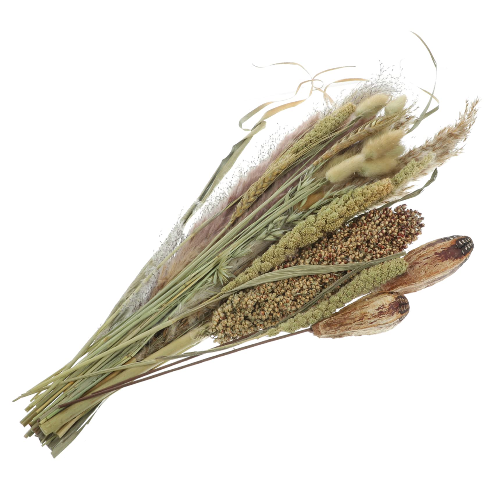 Abaodam 2pezzi Bouquet Di Pampa Essiccati Naturali Per Decorazioni Domestiche Composizioni Floreali Dried Broomcorn Per Matrimoni e Eventi Adatti Stili Boho e Rustici