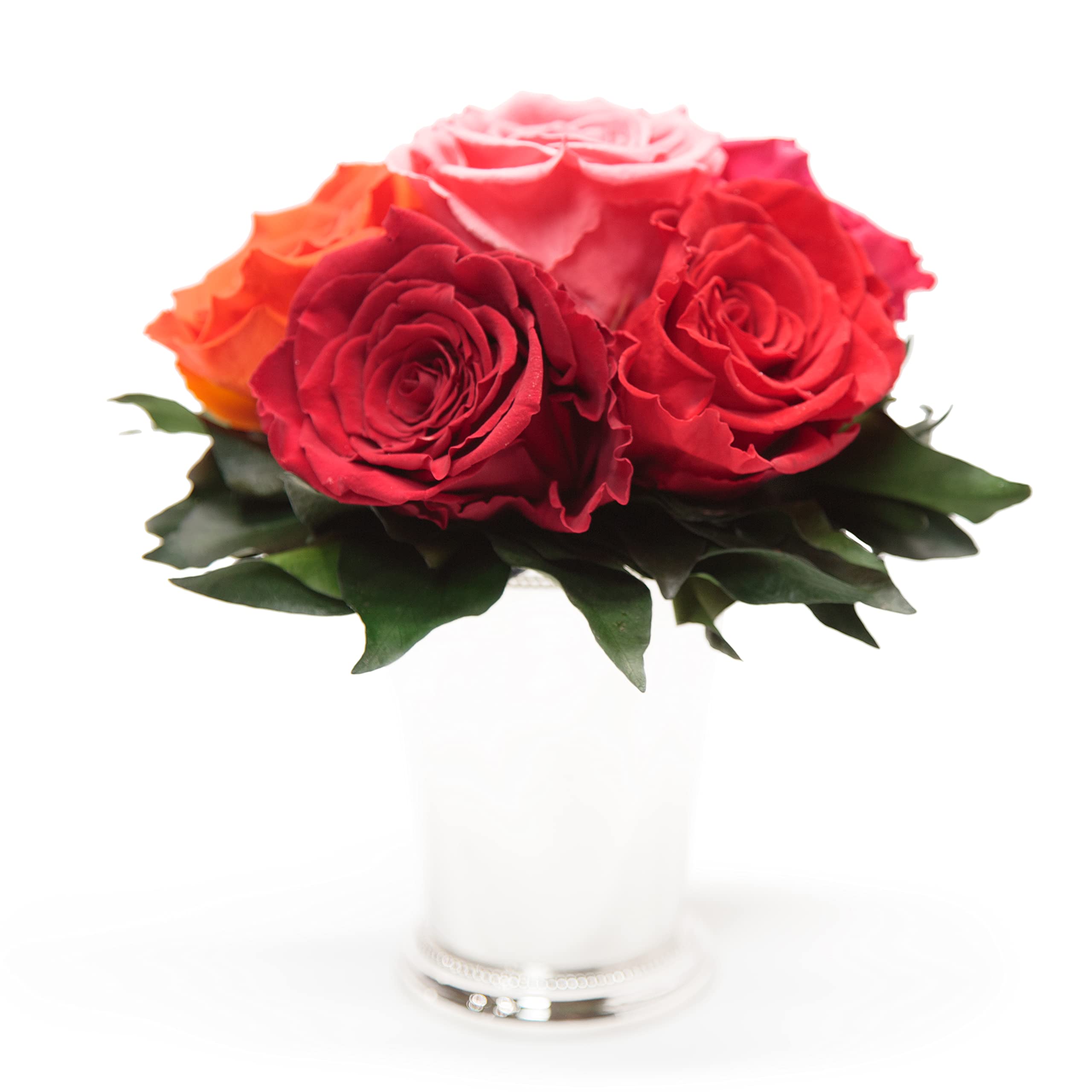 Rosengesteck 6 konservierte Rosen mit Efeublättern Infinity Rosenbox rund 3 Jahre haltbar Ø 20-23 cm Höhe 21 cm