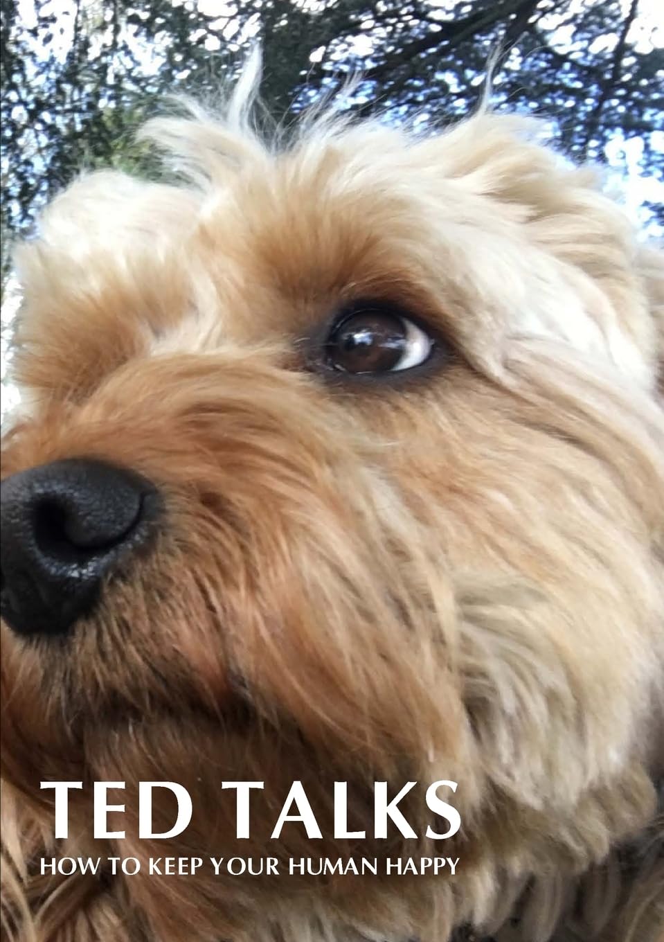 Ted Talks: How To Keep Your Human Happy