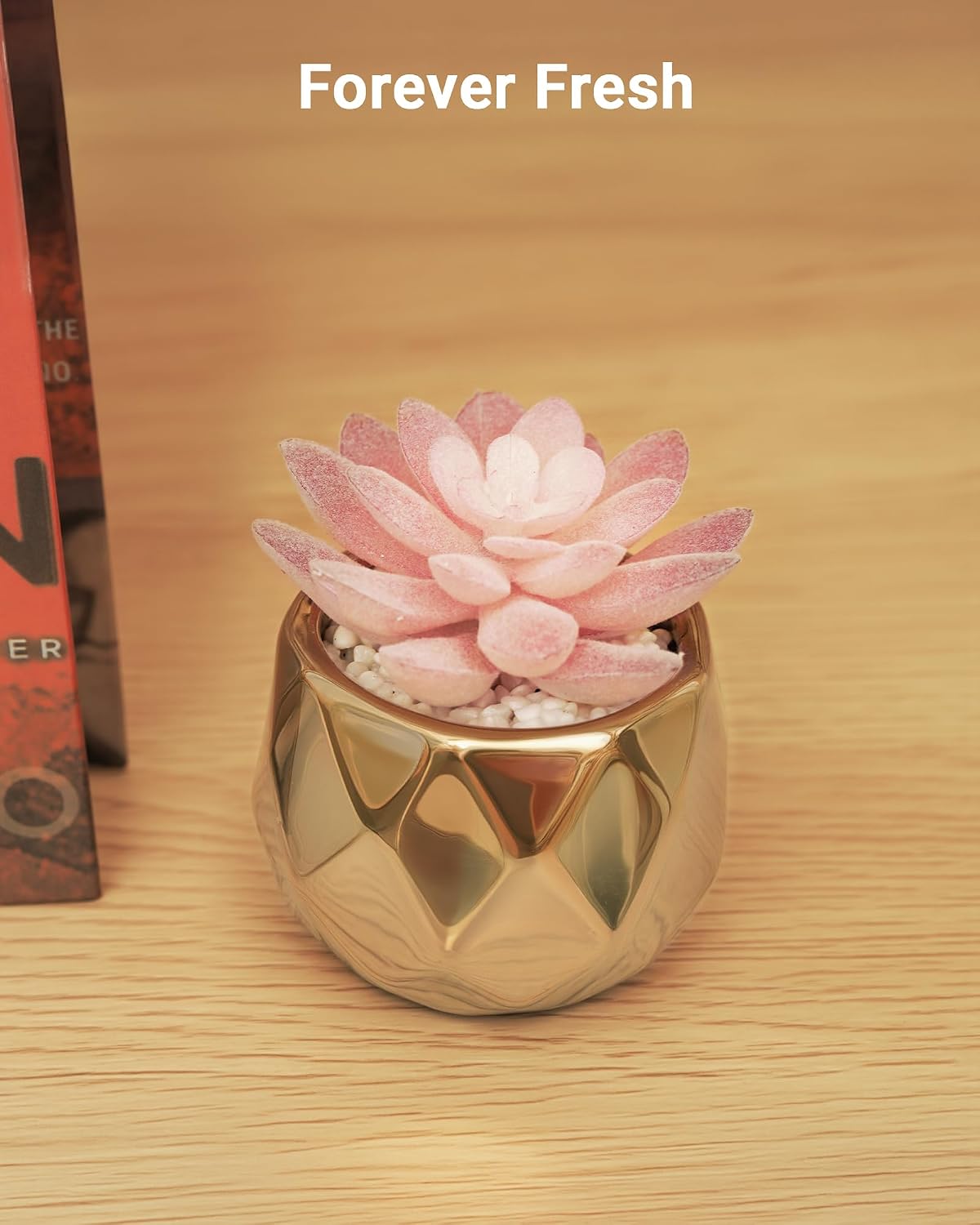 VIVERIE Mini Succulents Plants Artificial in Pots-Pink Succulents with Golden Ceramic, Small Fake Succulents for Home Decor Indoor for Women, White Ceramic Faux Succulents, Gifts for Mom-1 Pack
